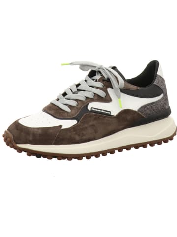 Floris van Bommel Sneaker Low in grün