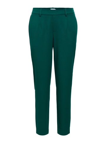 Object Hose in Botanical Garden