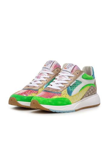 Floris van Bommel Sneaker in mehrfarbig