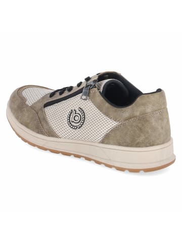 Bugatti Schnürhalbschuh in beige