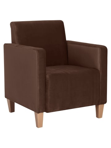 others SESSEL Karol Bezug Samtvelours Buche natur / braun