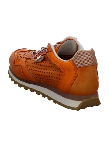 Cetti Sportliche Schnürschuhe in Orange