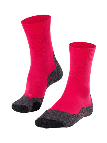Falke Sportsocken TK2 in Rose