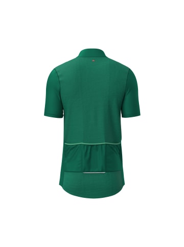 DANISH ENDURANCE Kurzärmeliges Radtrikot Sustain Jersey in green