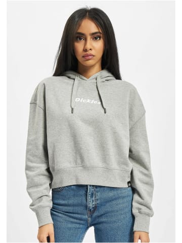 Dickies Dickies Kapuzenpullover in grey melange