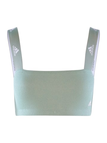 adidas Bustier Bandeau in oliv