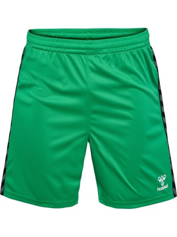 Hummel Short "Hmlauthentic Pl Shorts" in Multicolor
