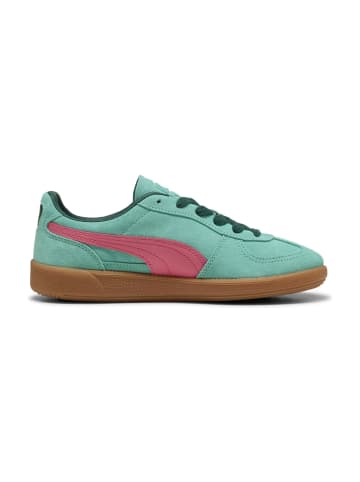 Puma Sneaker Low in Grün