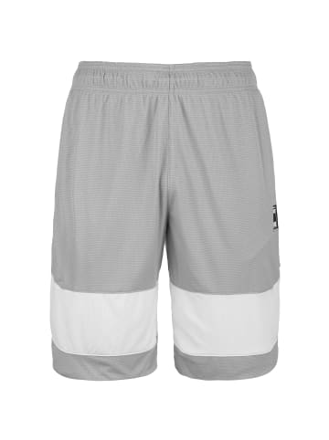 Puma Shorts Ultimate in grau / weiß
