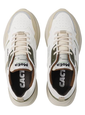 MoEa Sneakers Low in white/green