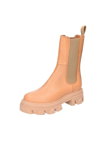 phenumb Stiefelette in braun