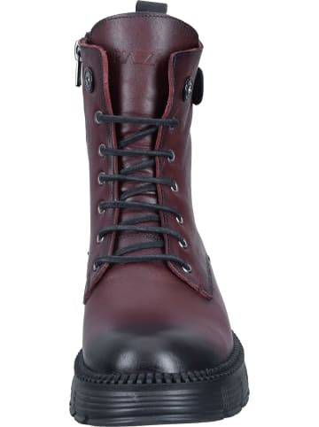 Piazza Schnürstiefeletten in bordeaux