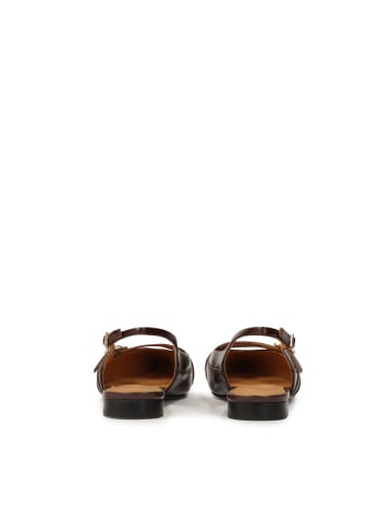 Kazar Pumps in Braun