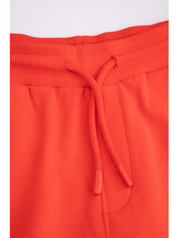 Coccodrillo Jogginghose in rot