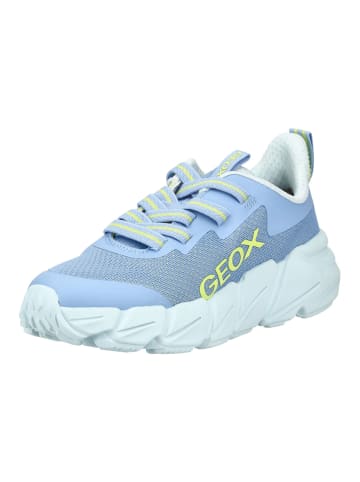 Geox Sneaker in Hellblau