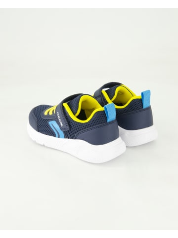 Geox Klettschuhe in Blau