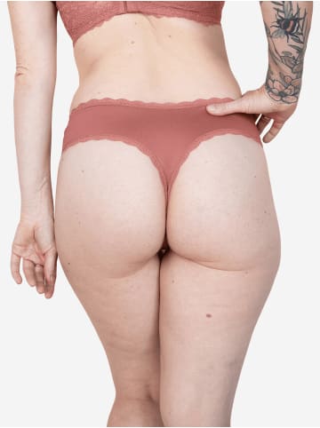 SugarShape String PUREBASIC in terra