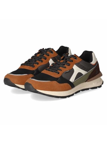 Bullboxer Low Sneaker in braun