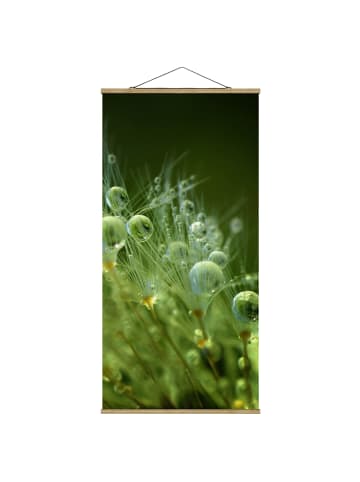 WALLART Stoffbild mit Posterleisten - Grüne Samen im Regen in Grün