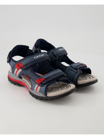 Geox Klettschuhe in Blau