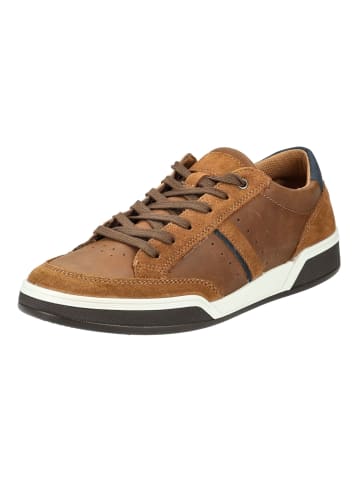 Imac Sneaker Braun/Blau