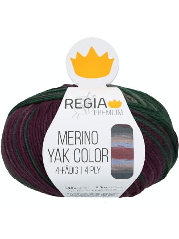 Regia Handstrickgarne Premium Merino Yak Color, 100g in Mountain gradient color
