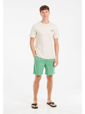 Protest " PRTNivel in Cactus Green