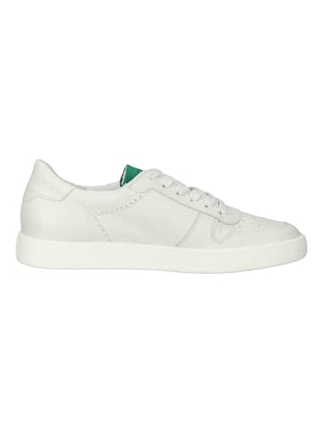 Paul Green Sneaker in Ivory