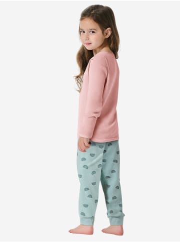 Schiesser Pyjama Nightwear in koralle