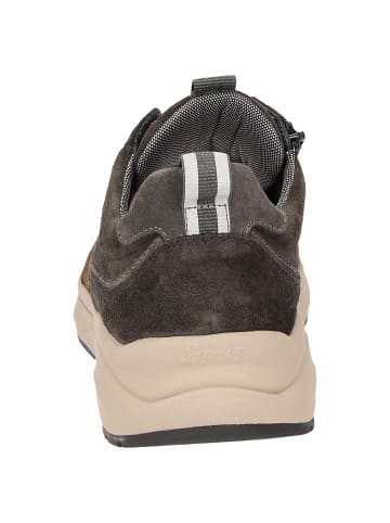 Sioux Sneaker Tasulio-702-J in braun