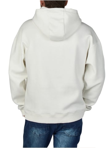 DENIMFY Sweatshirt DFMaxim in Weiß