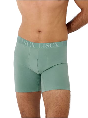 Lisca 3er Pack long Boxer in aloe green