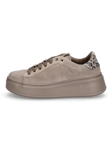 GIO+ Sneaker PIA430A in Taupe