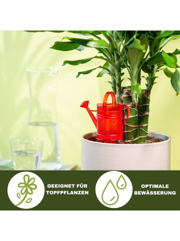 scheurich Scheurich Wasserspender Nelly | 2X Rot | 110 ml Füllmenge | Bewässerun in Rot