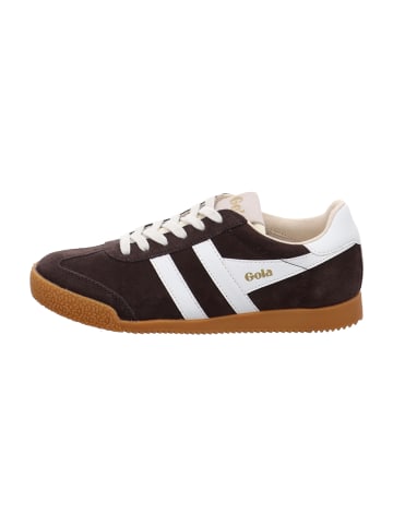 Gola Sneaker Low in Braun