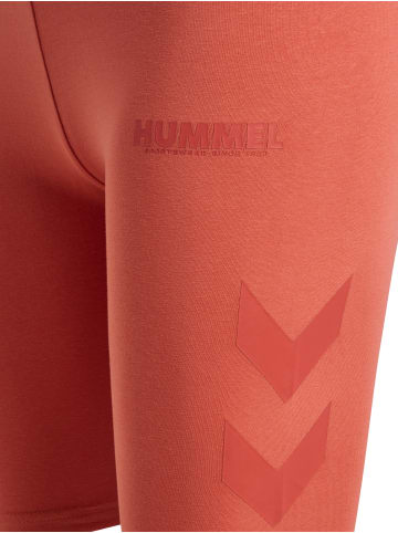 Hummel Hummel Kurze Hose Hmllegacy Damen Dehnbarem in APRICOT BRANDY