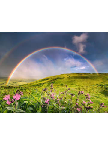 Ravensburger Puzzle 1.500 Teile Erwachsenenpuzzle Power of Nature 1500 Teile - Spektakulärer Regenbogen Ab 14 Jahre in bunt