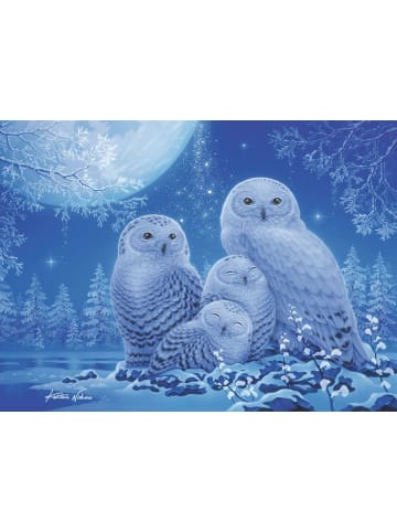 Ravensburger Ravensburger Puzzle 500 Teile Eulen im Mondschein in bunt