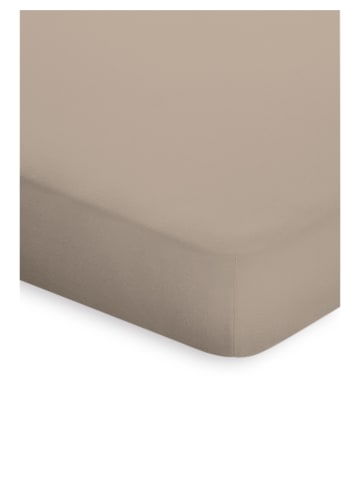 Bassetti Spannbettlaken Topper in taupe