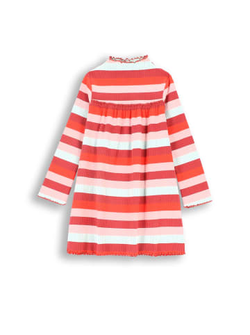 Coccodrillo Kleid in bunt