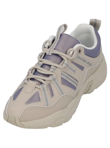 Calvin Klein Schnürschuhe in beige/lavendel/reflective