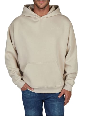 DENIMFY Pullover DFMaxim in Beige