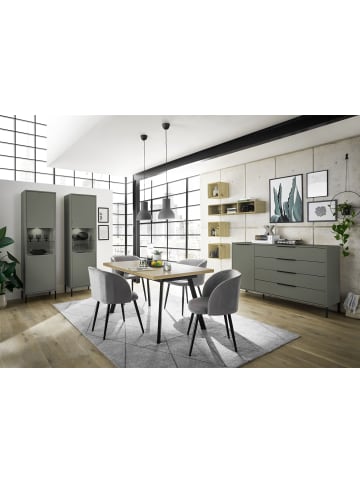58 aufm Kessel ESSZIMMERSET Erna Esszimmer Möbel Pinie Green matt Lack
