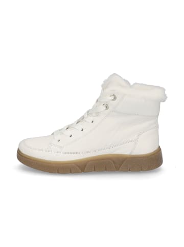 ara High-Top-Sneaker in creme weiß