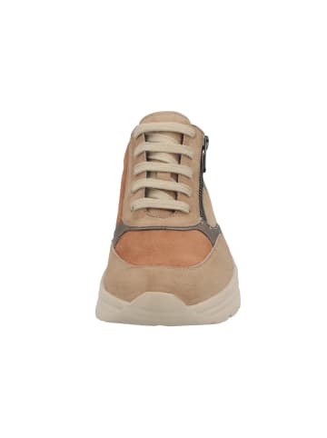 Solidus Damen- Schnürschuhe Holly Weite H in Braun
