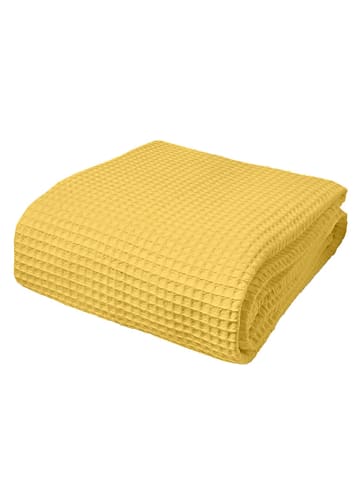 Dormisette Wohndecke Pique in yellow