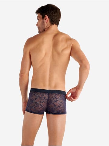 HOM Trunk Purple in navy