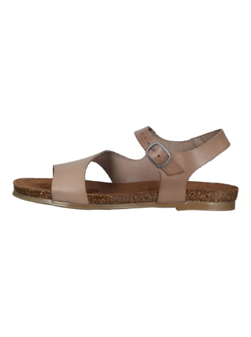 Cosmos Comfort Sandalen in Taupe