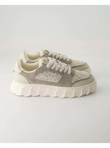 Apple of Eden Sportliche Schnürschuhe in Grau