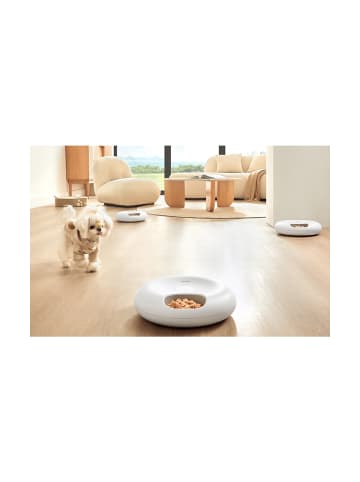 Rojeco Automatischer Futterspender 6 Mahlzeiten 3600mAh